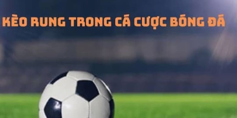 Các loại cược phổ biến hiện nay của kèo rung là gì?